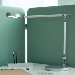 LED stolová lampa MAULgrace, variabilná farba, stmievateľná, strieborná