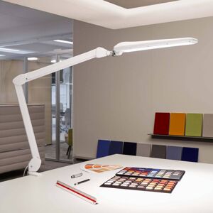 Stolná LED lampa MAULcraft so svorkou, stmievateľná