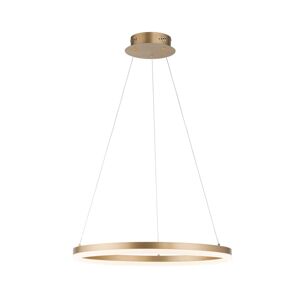 LED závesné svietidlo Titus Ø 60 cm mosadzná matná