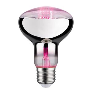 Botanická LED žiarovka E27 R80 6,5 W