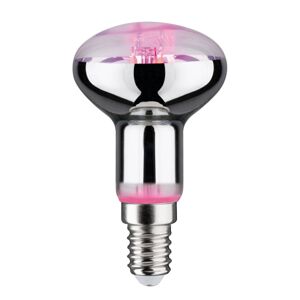 Botanická LED žiarovka E14 R50 4 W