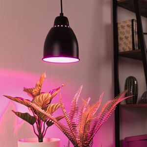 Paulmann Neordic Hilla závesná lampa, čierna